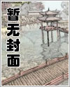 红楼淫宝玉